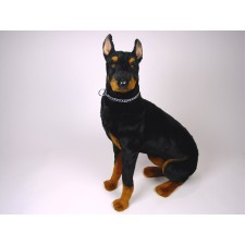 Doberman Pinscher 0270 by Piutrè