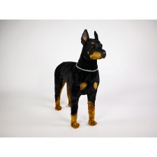Doberman Pinscher 0272 by Piutrè