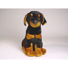 Doberman Pinscher Puppy 0268 by Piutrè