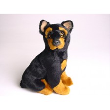 Doberman Pinscher Puppy 1303 by Piutrè