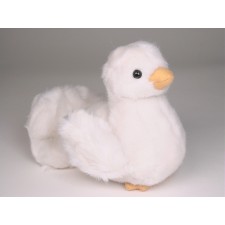 Dove Chick 0719 by Piutrè