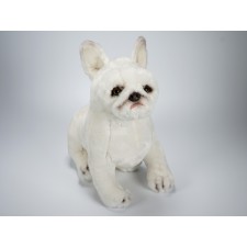 French Bulldog Puppy 1367 by Piutrè 