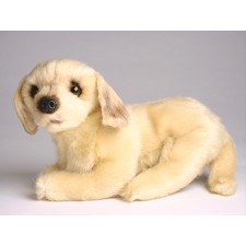 Golden Retriever (Miniature) 4248 by Piutrè 