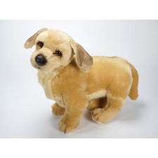 Golden Retriever Puppy 2203 by Piutrè 