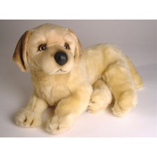 Golden Retriever Puppy 2206 by Piutrè