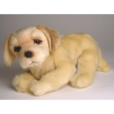 Golden Retriever Puppy 2208 by Piutrè