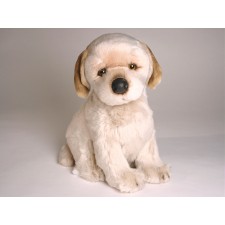 Golden Retriever Puppy 3282 by Piutrè 