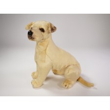 ​Great Dane Puppy 3302 by Piutrè