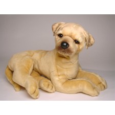 Great Dane Puppy 3303 by Piutrè 