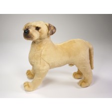 Great Dane Puppy 3304 by Piutrè 