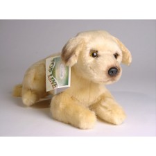 Great Dane Puppy 3307 by Piutrè 