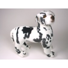 Harlequin Great Dane Puppy 3331 by Piutrè 