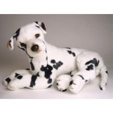 Harlequin Great Dane Puppy 3265 by Piutrè