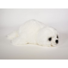 Harp Seal Pup 2541 by Piutrè 