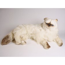​Himalayan Persian Cat 2428 by Piutrè