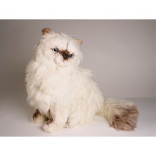 ​​Himalayan Persian ​Cat 24​31 by Piutrè