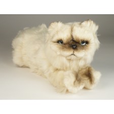 ​Himalayan Persian Kitten 2429 by Piutrè