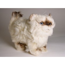 ​​Himalayan Persian ​Kitten 2432 by Piutrè