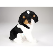 Jack Russell Terrier Puppy 1234 by Piutrè