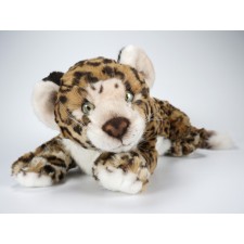 Jaguar Cub 0507 by Piutrè 