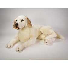 Labrador Retriever 1226 by Piutrè