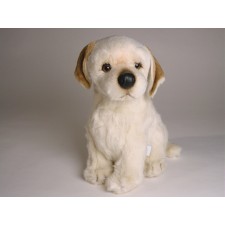 Labrador Retriever Puppy 1203 by Piutrè
