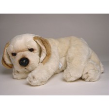 Labrador Retriever Puppy 1204 by Piutrè
