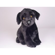 Labrador Retriever Puppy 3339 by Piutrè 