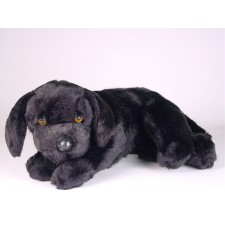 Labrador Retriever Puppy 3341 by Piutrè 