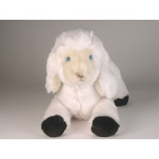 Lamb 0713 by Piutrè
