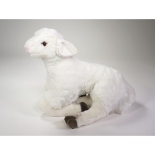Lamb 0725 by Piutrè 
