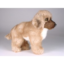 Leonberger Puppy 3365 by Piutrè 