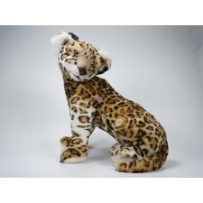 ​Leopard Cub 2586 by Piutrè