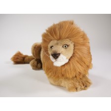 ​Lion (Reduced Size) 2508 by Piutrè