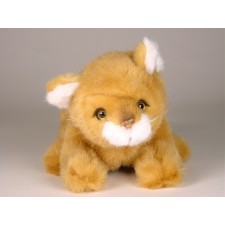 Lion Cub 0414 by Piutrè