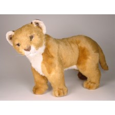 Lion Cub 2504 by Piutrè