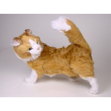 Maine Coon Cat 2380 by Piutrè 