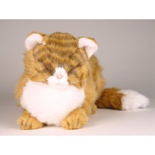 Maine Coon Cat 2383 by Piutrè 