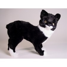 Manx Cat 0323 by Piutrè