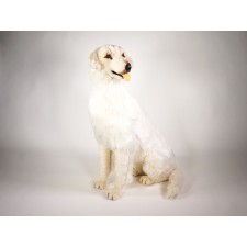 Maremma Sheepdog 3211 by Piutrè 