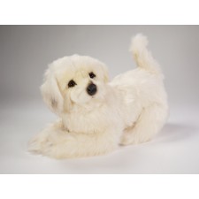 ​M​aremma Sheepdog Puppy 3215​ by Piutrè
