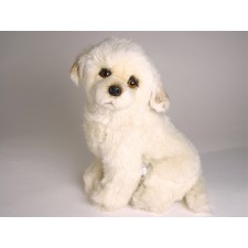 Maremma Sheepdog Puppy 3216 by Piutrè