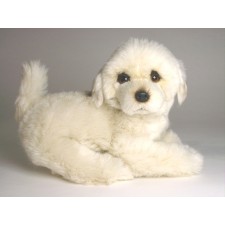 Maremma Sheepdog Puppy 3217 by Piutrè 