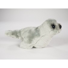 ​Mediterranean Monk Seal Pup 2677 by Piutrè