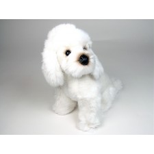 Miniature Poodle Puppy 0281 by Piutrè