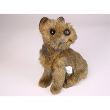 Miniature Schnauzer Puppy 1314 by Piutrè