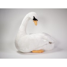 Mute Swan 0730 by Piutrè 