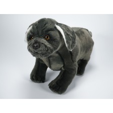 Neapolitan Mastiff Puppy 1361 by Piutrè 