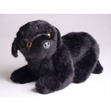 ​Newfoundland (Miniature) 4246 by Piutrè