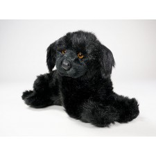 Newfoundland Puppy 2236 by Piutrè